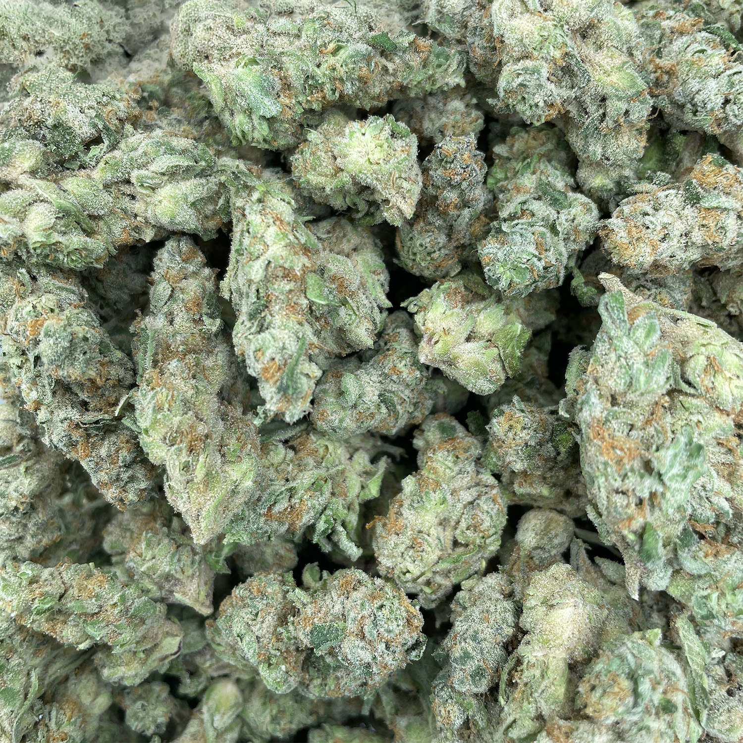 Cosmic Cream Smalls