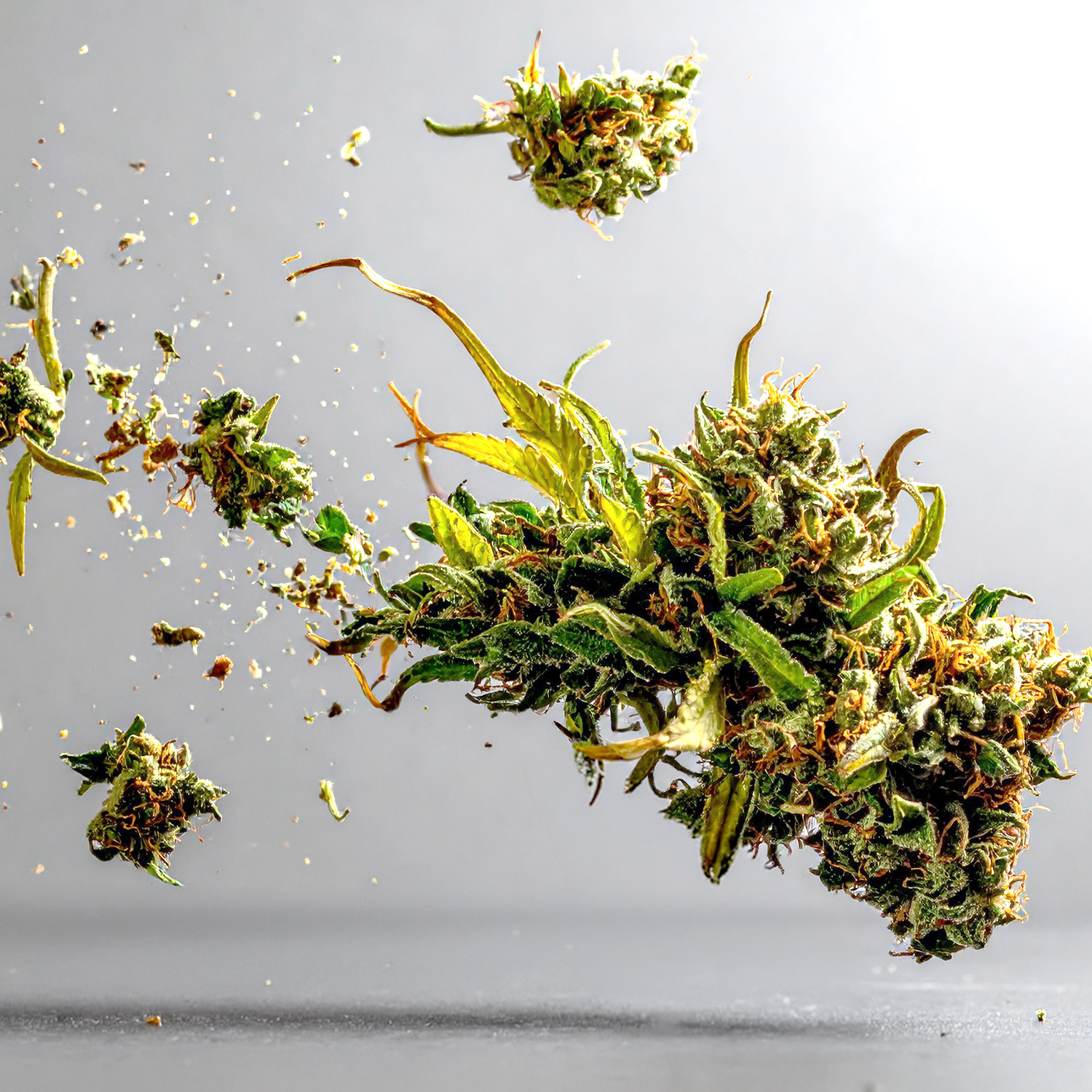 menu-flower-wgtg-01