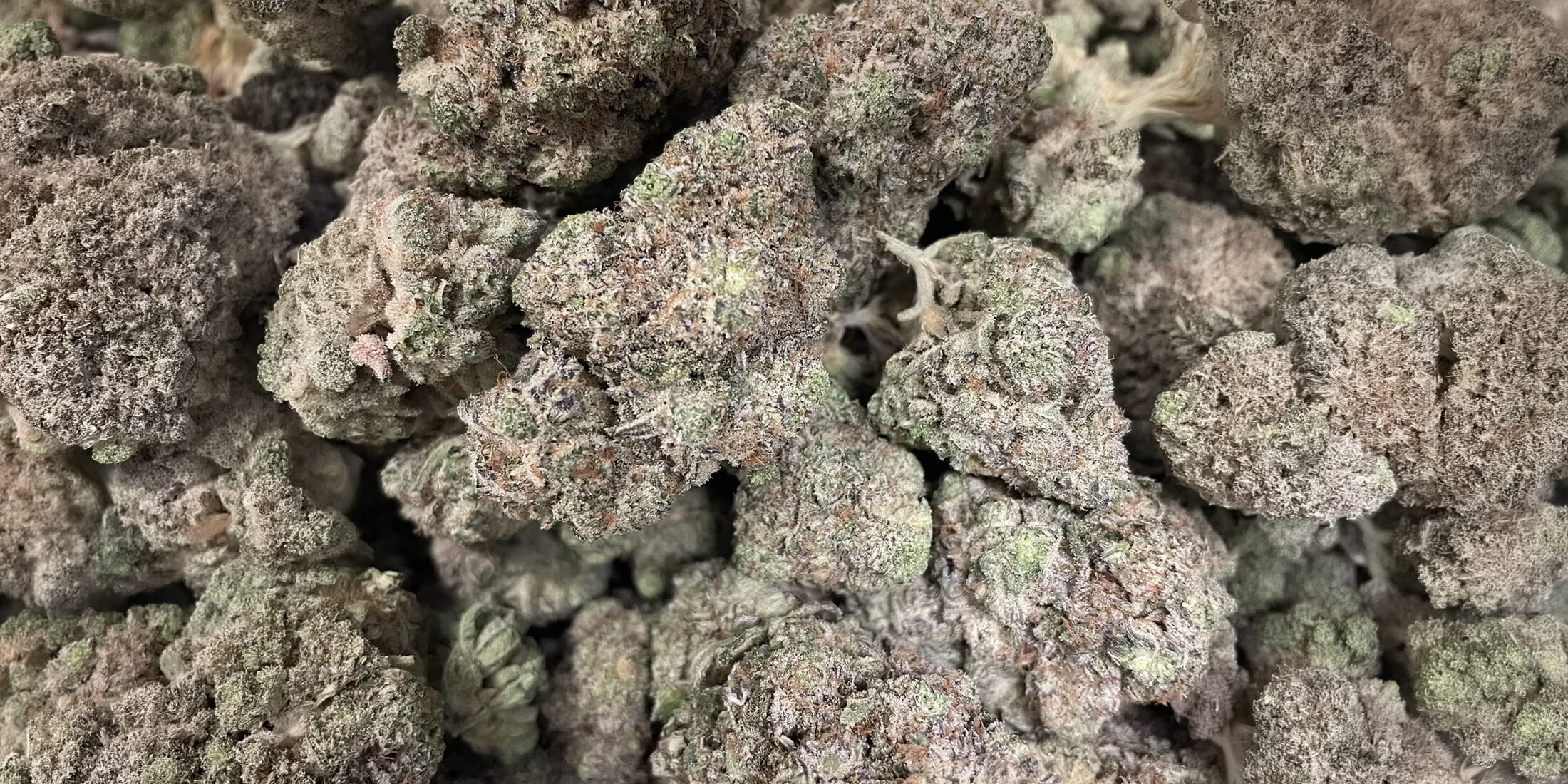 khalifa-kush-x-the-menthol-blog-article-cover001